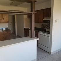 Robin Towers - Photo 1 of 1