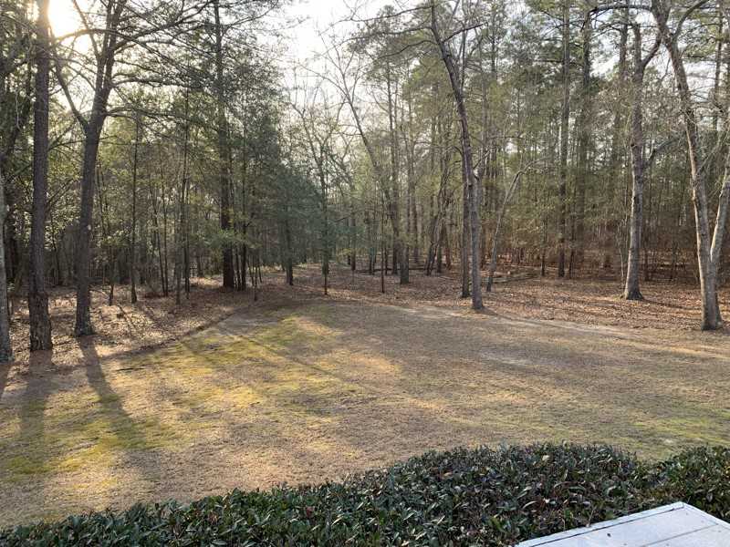 220 Buck Point Ct - Photo 7 of 19