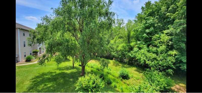 533 Mill Pond Dr - Photo 2 of 10