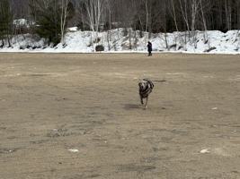 featured image of 17 Water St #3