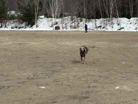 17 Water St #3 - Photo 1 of 1