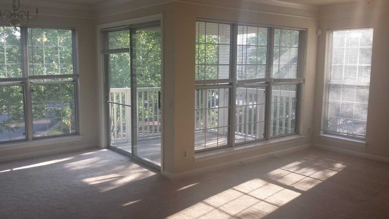 8136 Bayonet Way #203 - Photo 4 of 15