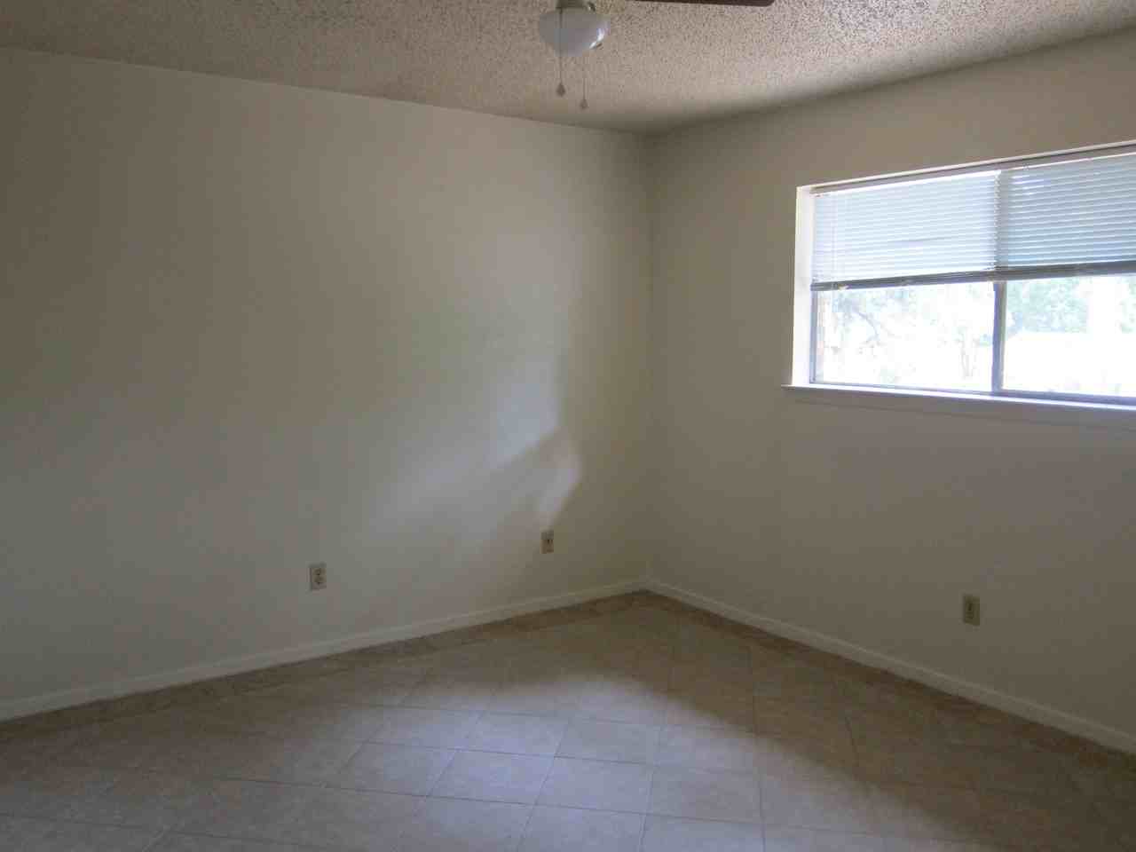 2010 Secretariat Trce #B - Photo 6 of 9