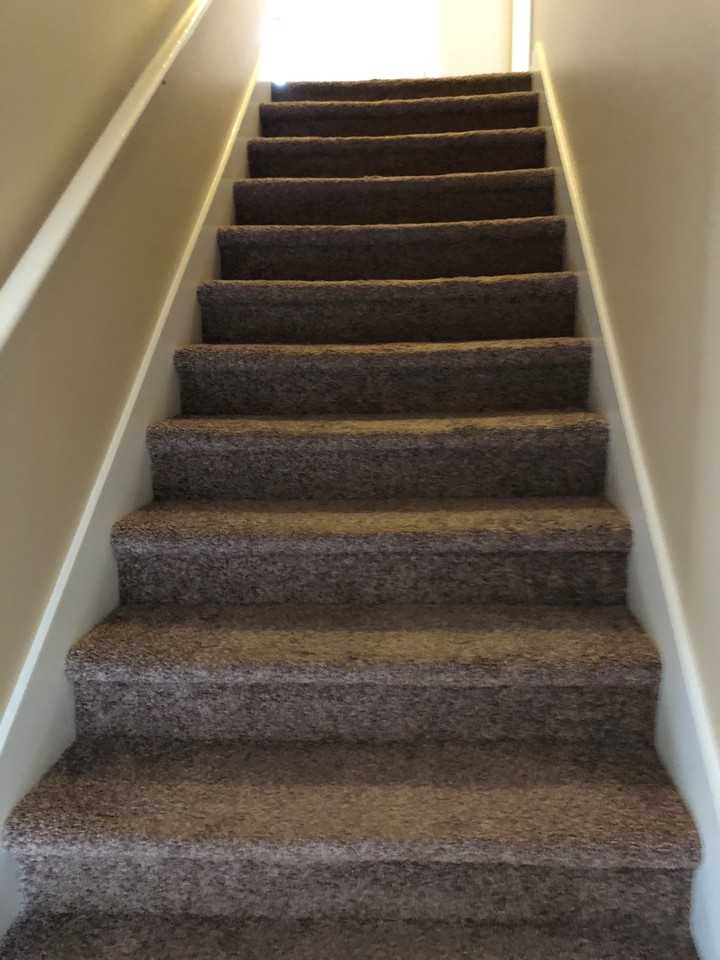 209 Springfield Cir #B - Photo 6 of 12