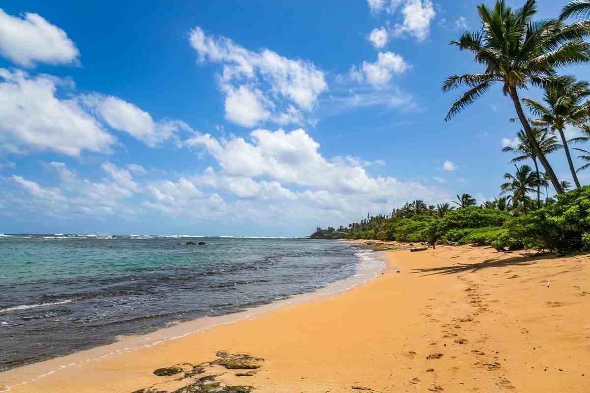 Aliomanu Rd #2 - Photo 3 of 23