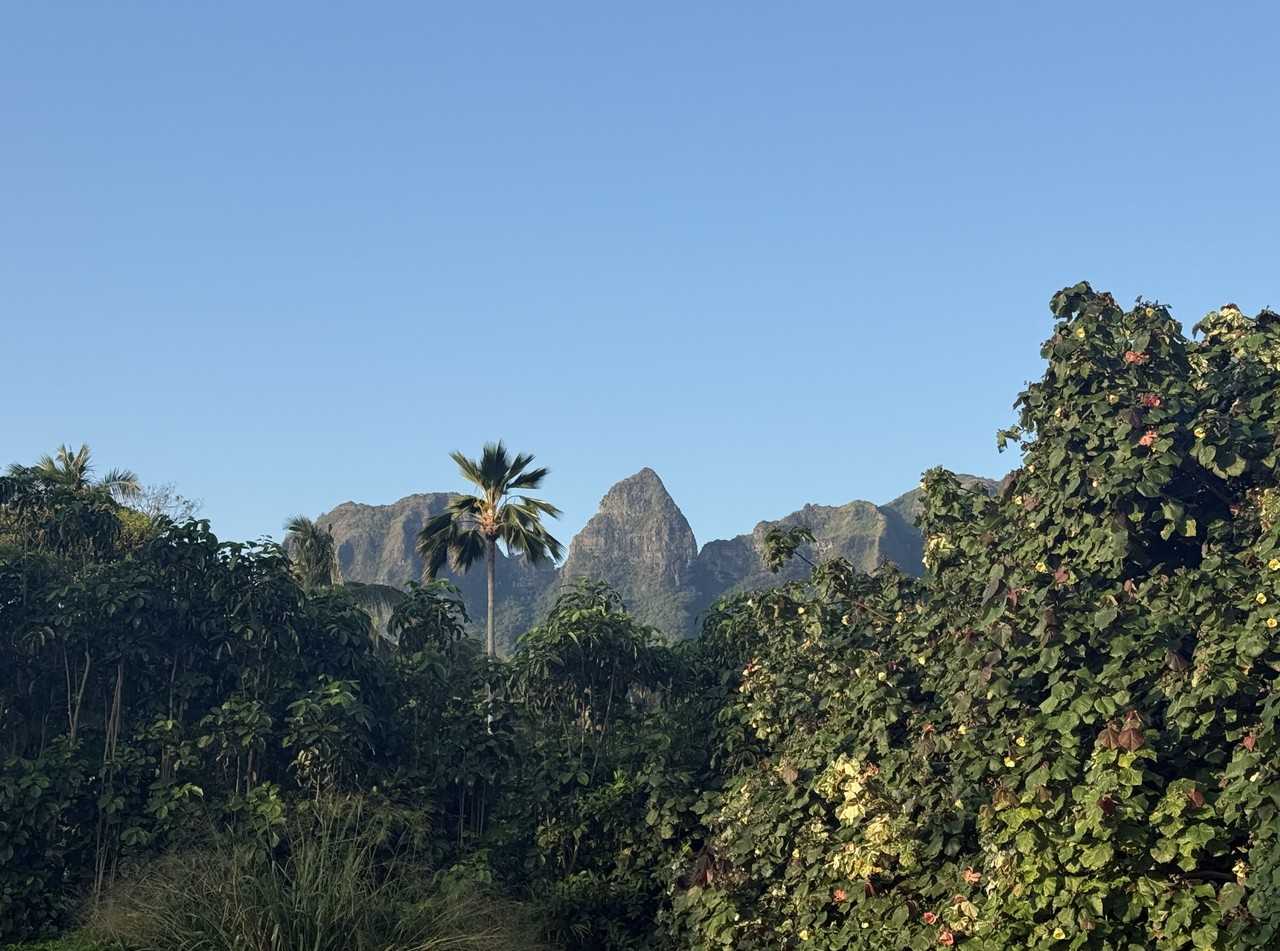 Aliomanu Rd #2 - Photo 4 of 23