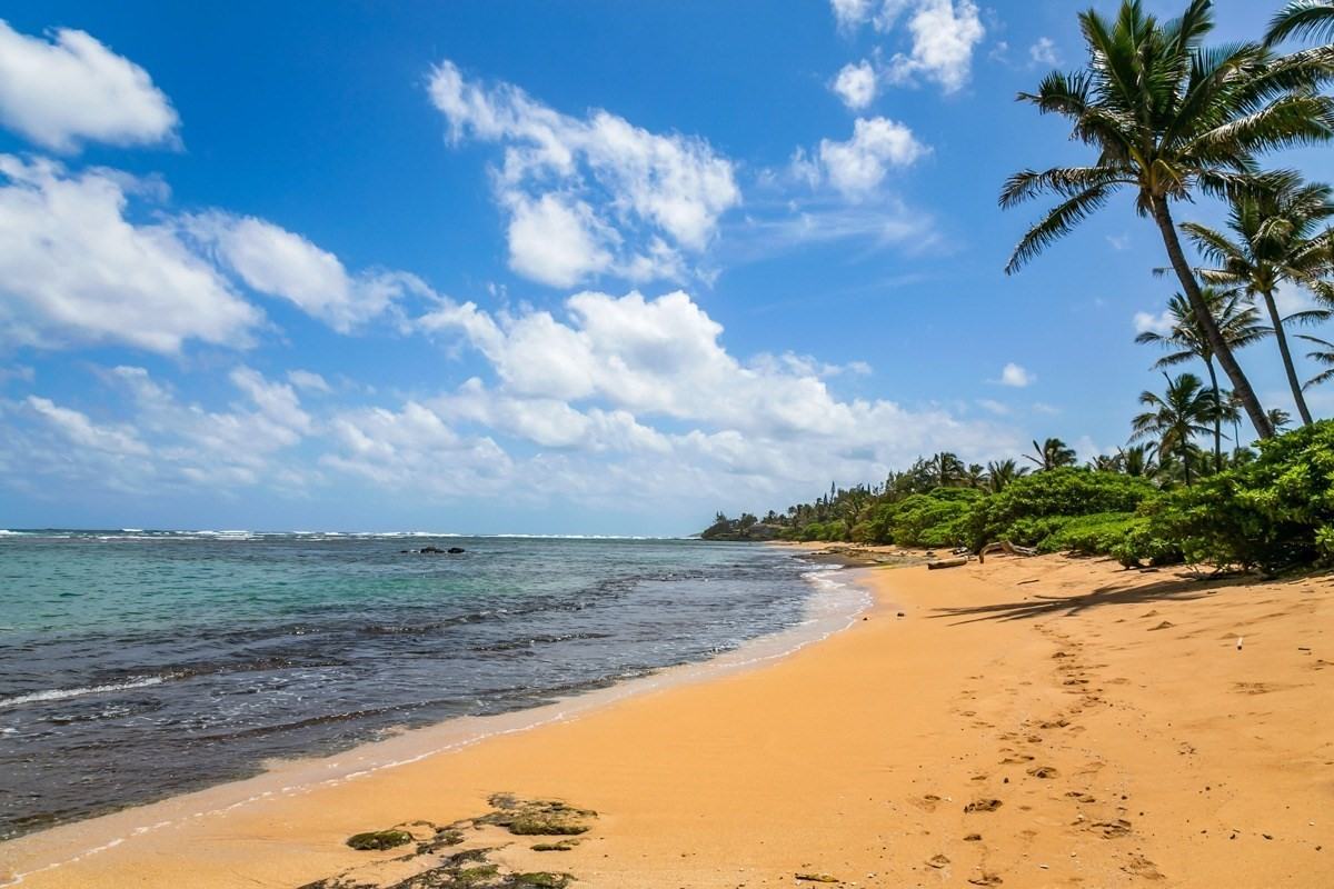 Aliomanu Rd #NA - Photo 3 of 22