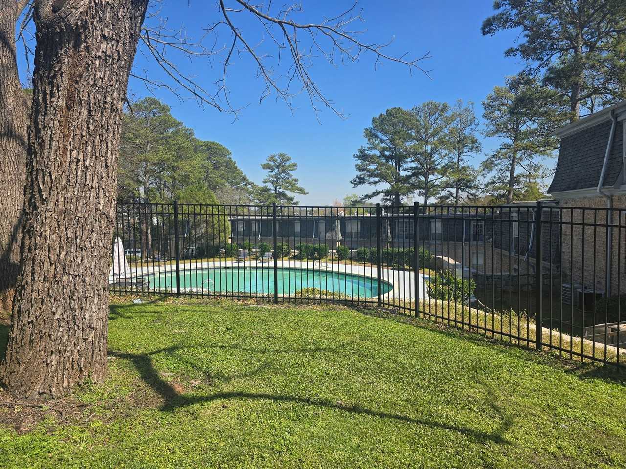 Chateau Montagne Apartments - Photo 7 of 18