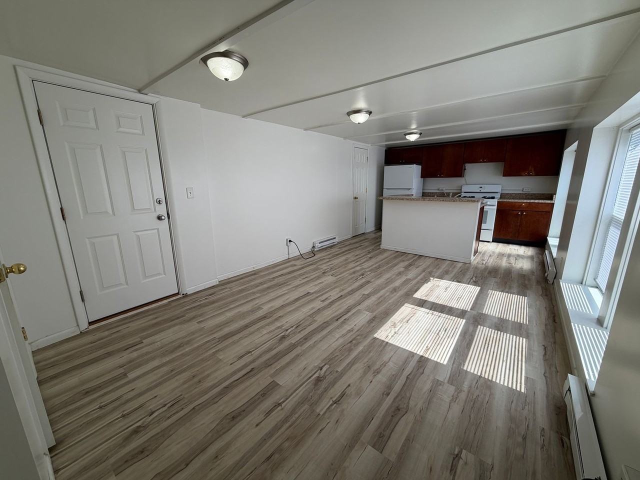 229 W Jackson Blvd #1D - Photo 3 of 7