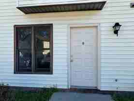 Palomino - Photo 1 of 1