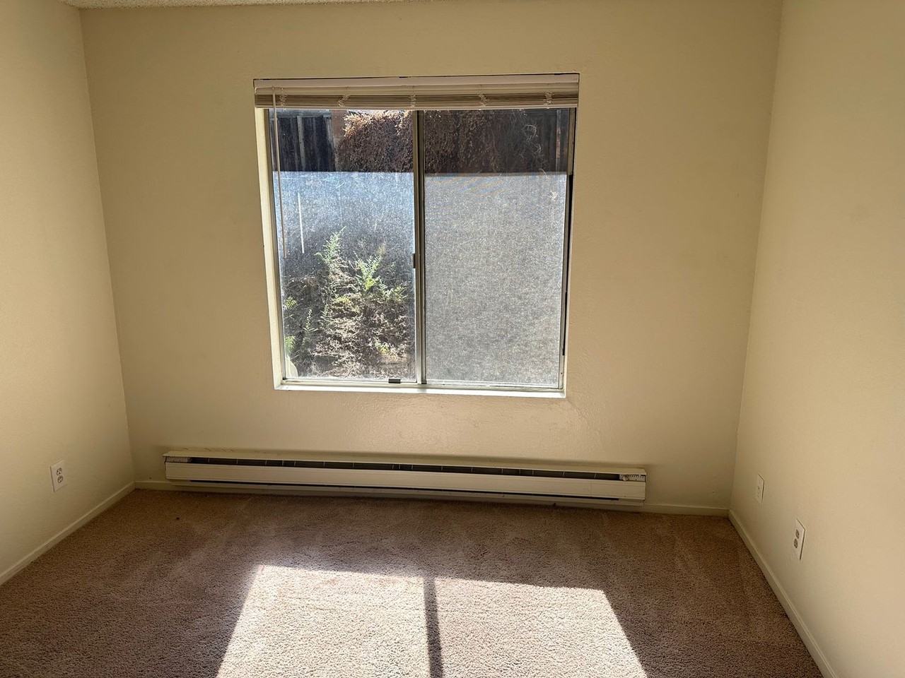 3928 Clear Acre Ln #116 - Photo 5 of 9