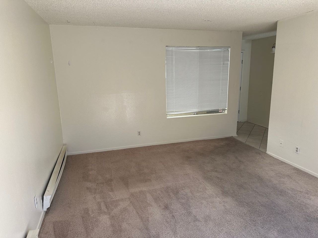 3928 Clear Acre Ln #116 - Photo 6 of 9