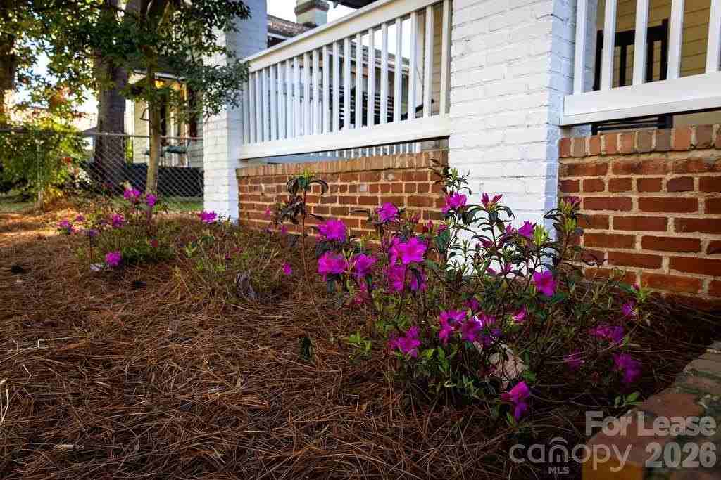 435 Walnut Ave - Photo 6 of 47