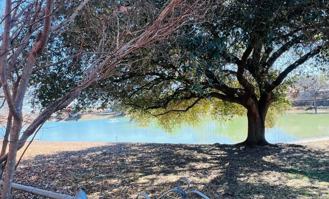 10866 Lake Path Dr - Photo 1 of 1