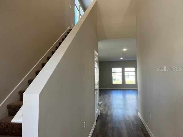 34137 Scarlet Sage Ct - Photo 2 of 37