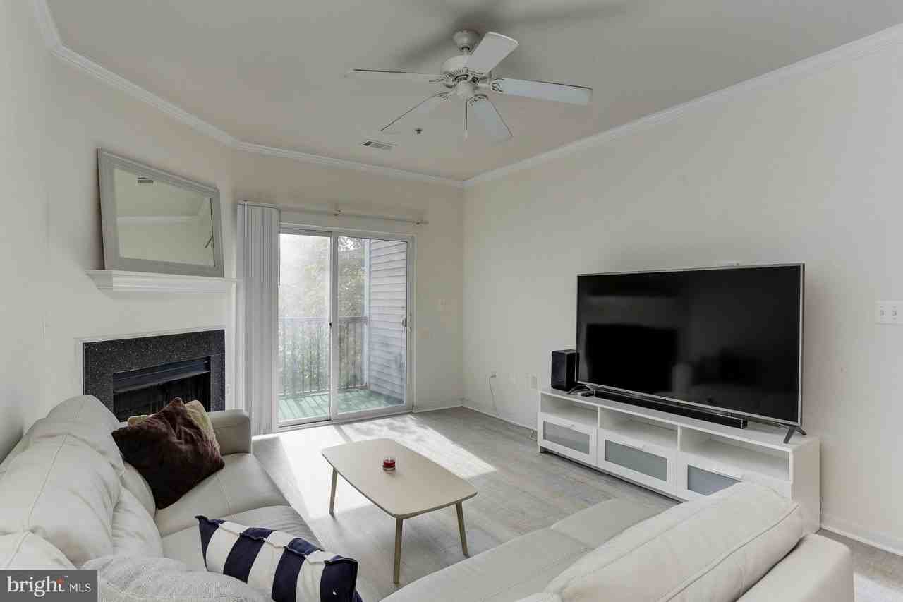 5105E Travis Edward Way Apt E - Photo 3 of 33