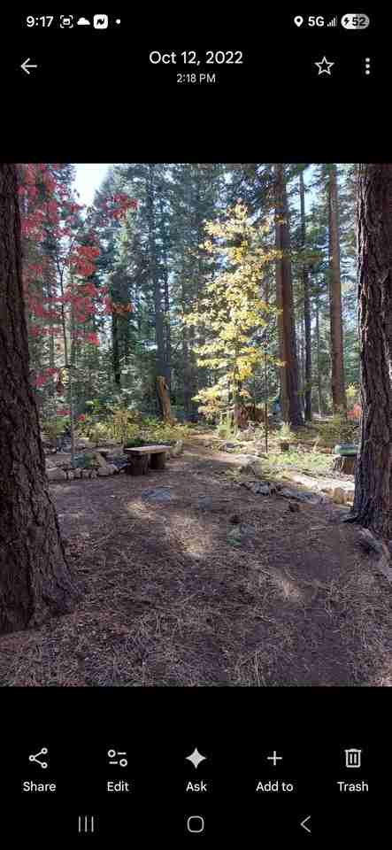 260 Fremont Way - Photo 3 of 5