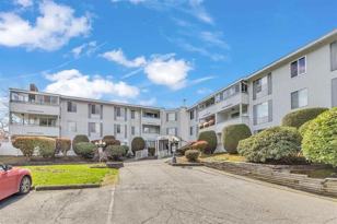 32950 Amicus Pl Unit 304  