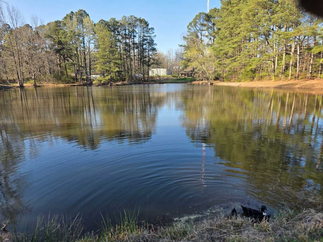 109 Stanford Dr #10A - Photo 3 of 13