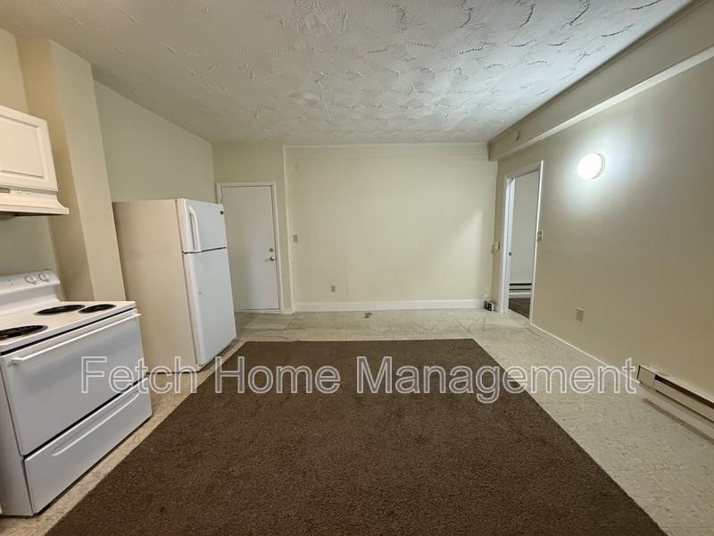 357 S 3rd St #1F - Photo 3 of 7