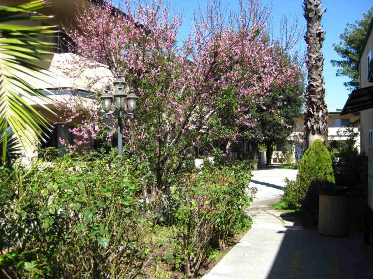 Tarzana Court  Apartments - Photo 4 of 4