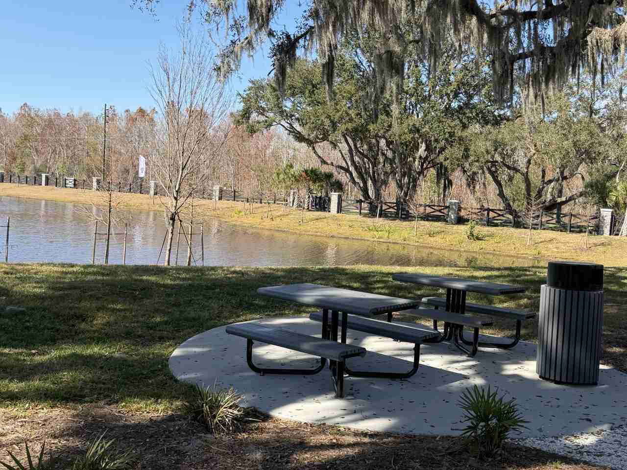 11381 Nona Sound St #11381 - Photo 5 of 14