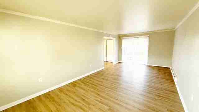 8517 Lenna Ct - Photo 7 of 13