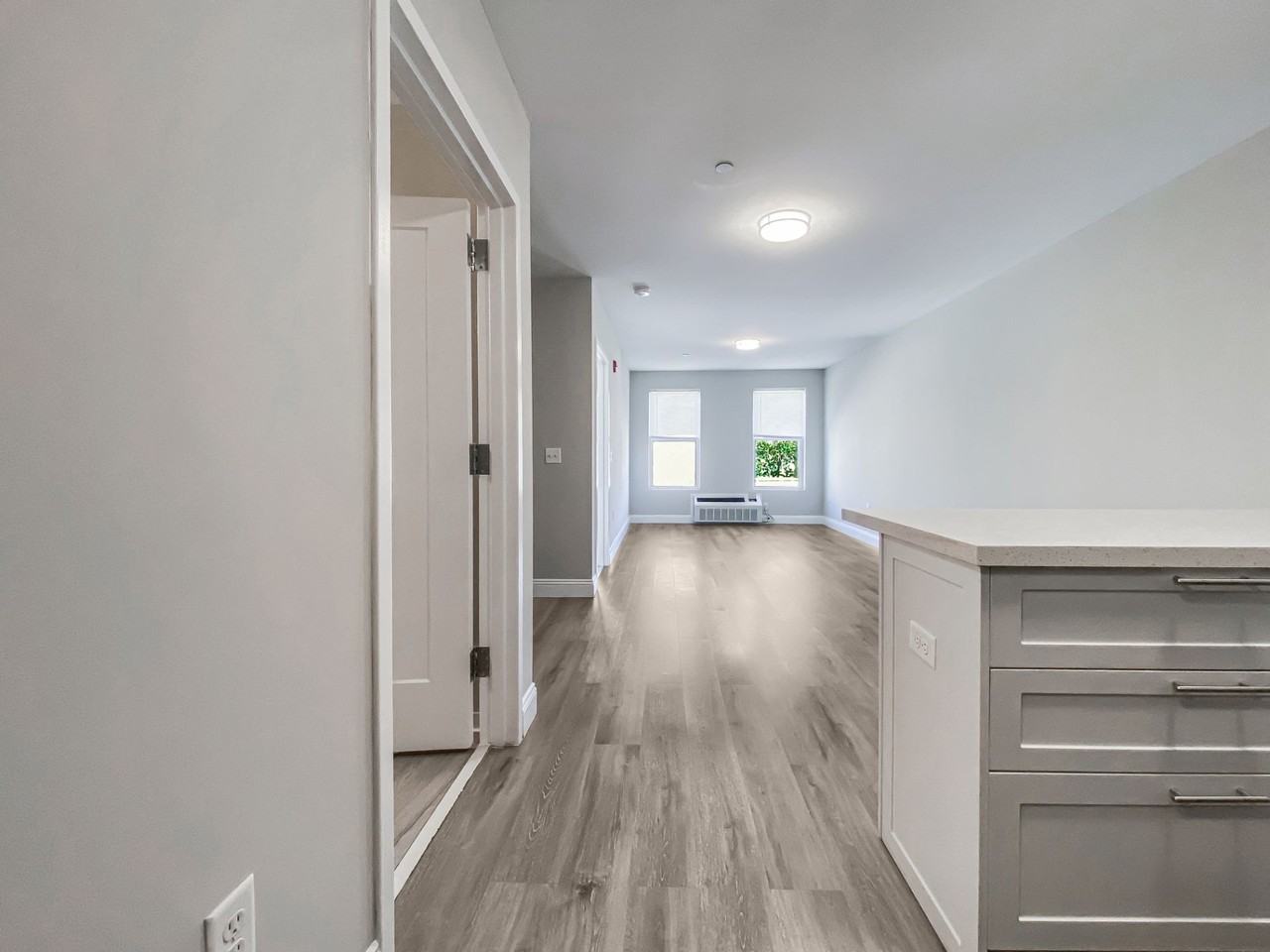 20 Canfield Street - Photo 5 of 8