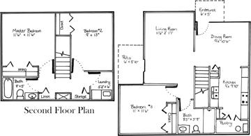 featured image of 501 Setters Run