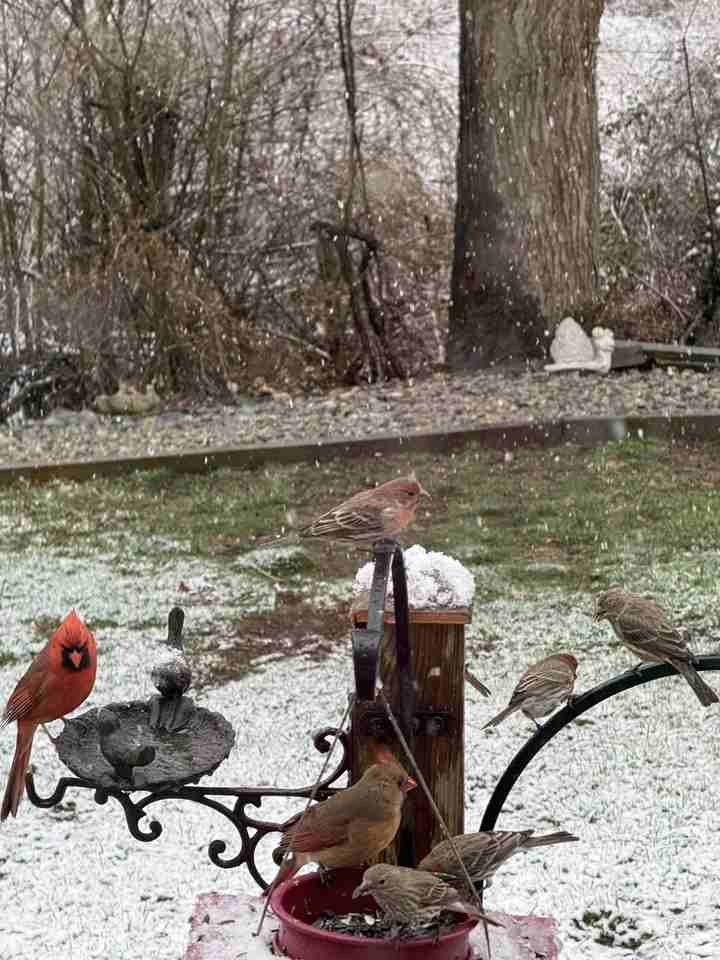 14 Walnut Street #B - Photo 2 of 27