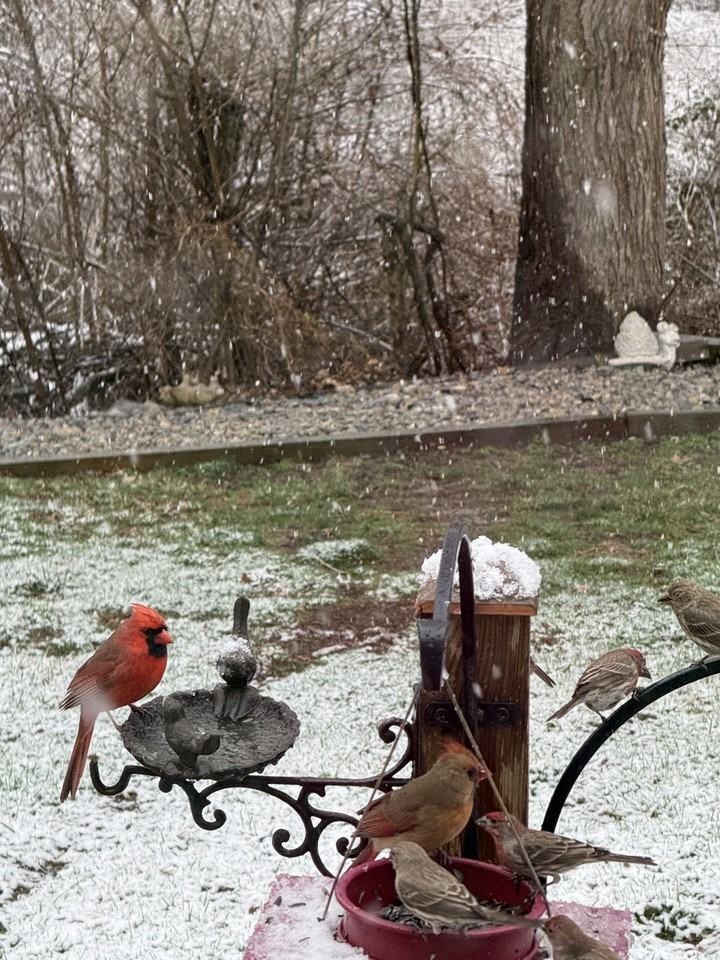 14 Walnut Street #B - Photo 3 of 27