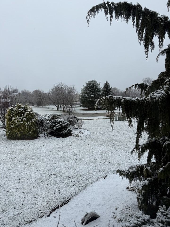 14 Walnut Street #B - Photo 4 of 27