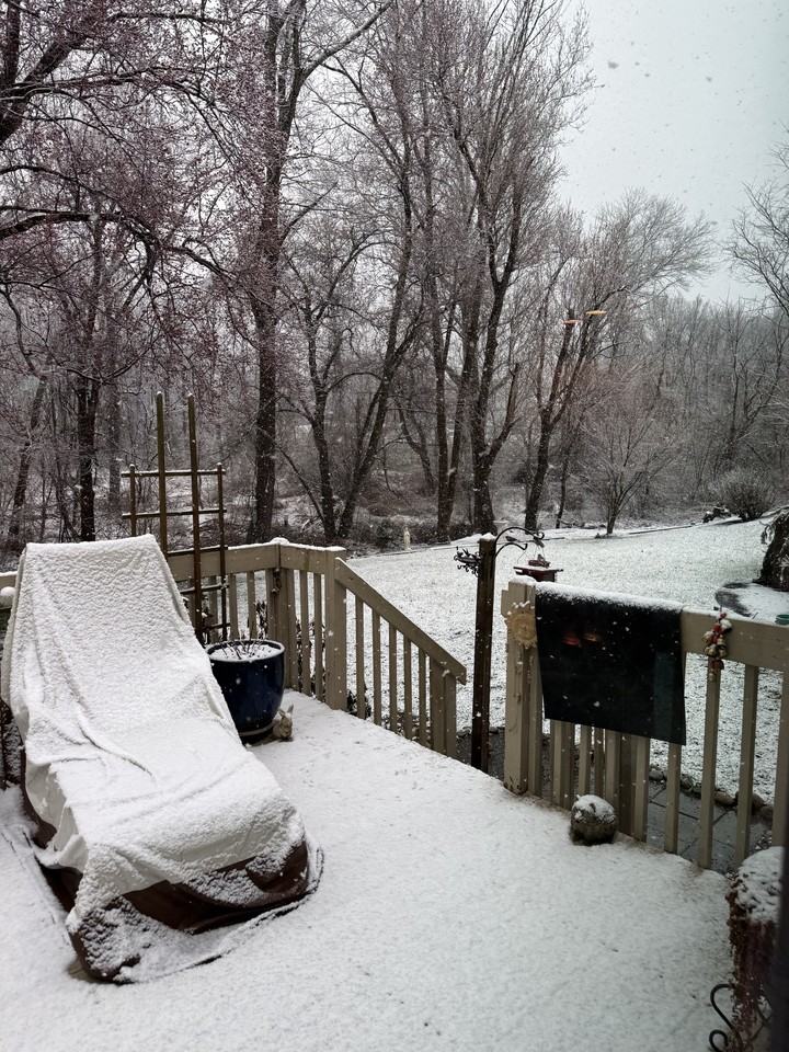 14 Walnut Street #B - Photo 5 of 27