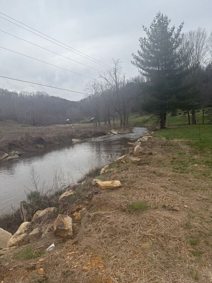 oliv3574 - Photo 6 of 50