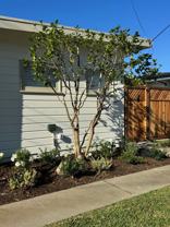 263 E 21st St - Photo 1 of 1