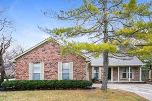 featured image of 8291 Ontario Ln