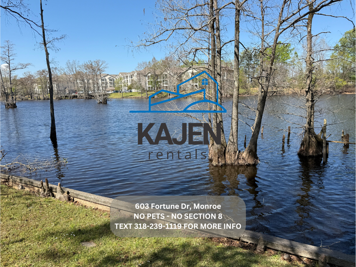 603 Fortune Dr - Photo 2 of 23