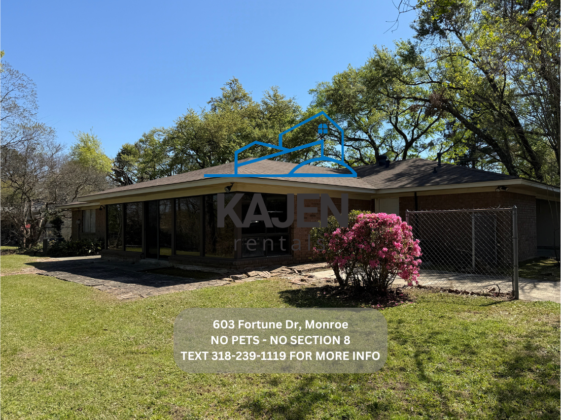 603 Fortune Dr - Photo 3 of 23