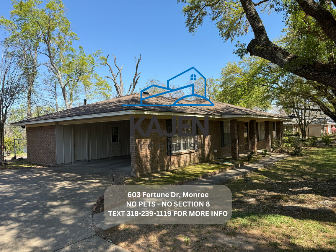 603 Fortune Dr - Photo 4 of 23