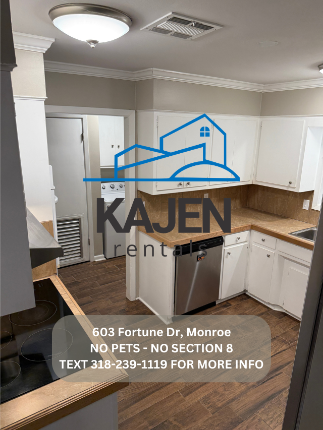 603 Fortune Dr - Photo 6 of 23