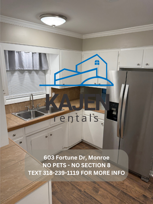 603 Fortune Dr - Photo 7 of 23