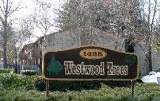 034 - Westwood Trees - Photo 1 of 1