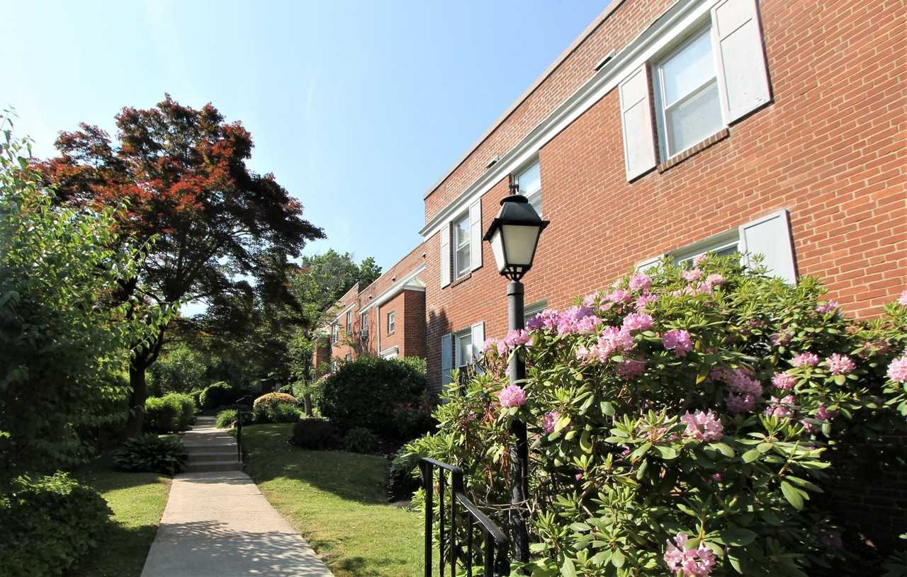 Hampton Court - Photo 5 of 50