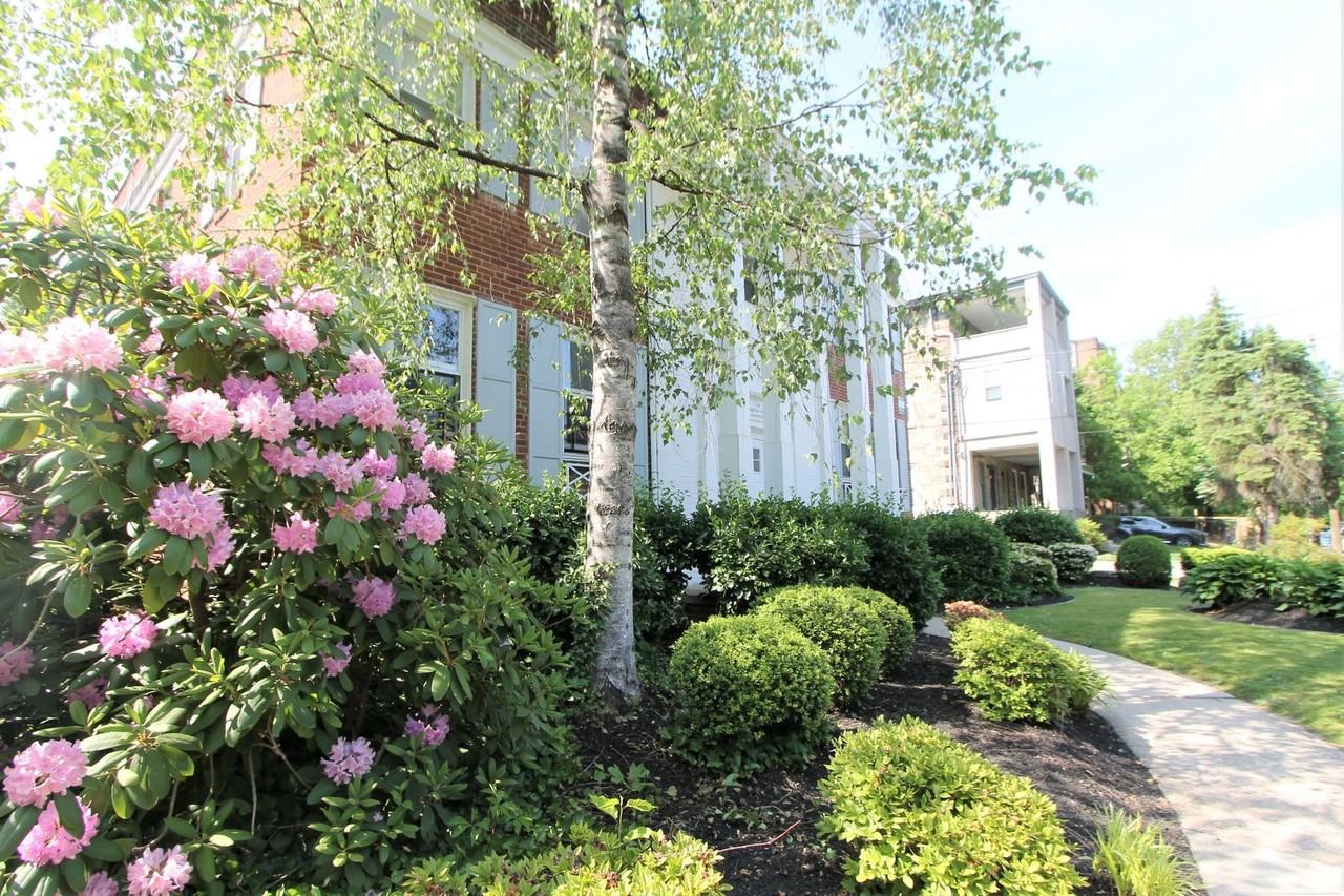 Hampton Court - Photo 6 of 50