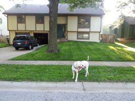 featured image of 9206 Greenway Ln