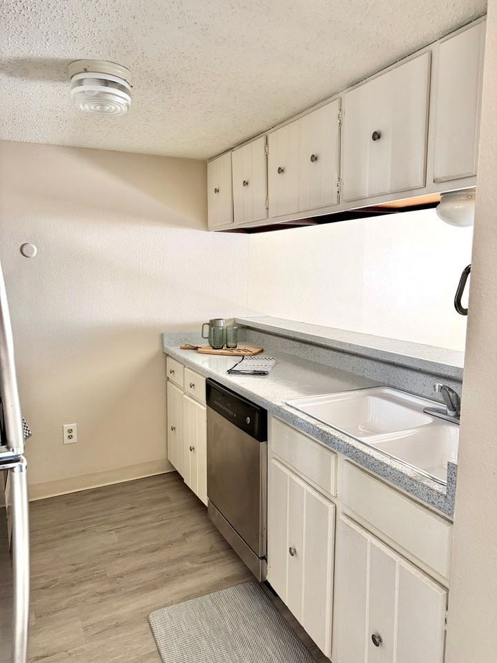1240 N Elizabeth Street - Photo 4 of 20