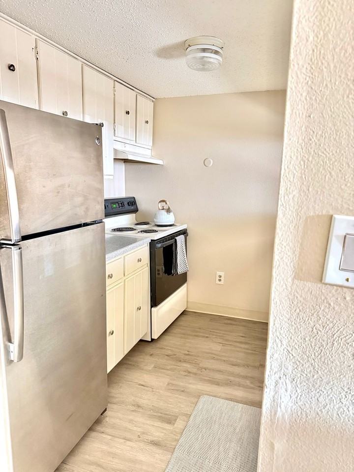 1240 N Elizabeth Street - Photo 5 of 20