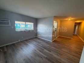 5146 Carthage Ave #3 - Photo 1 of 1