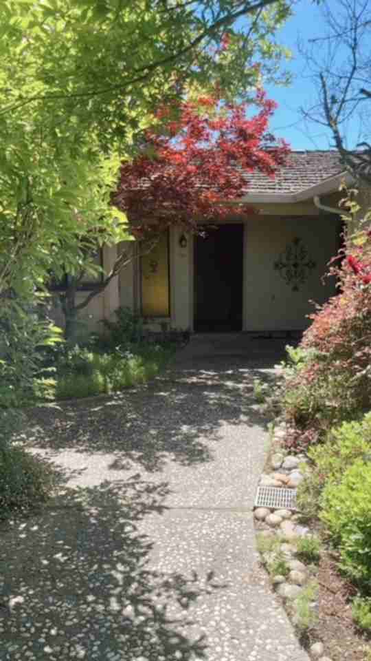 8817 Little Oaks Way - Photo 5 of 35