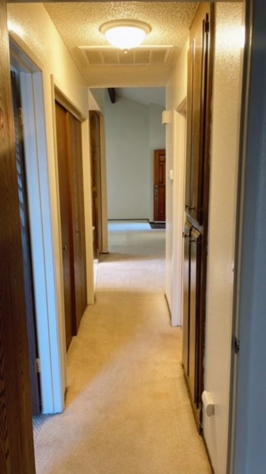 8817 Little Oaks Way - Photo 7 of 35